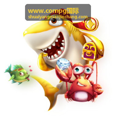 www.compg国际 出厂前验货现场与合规文件核对