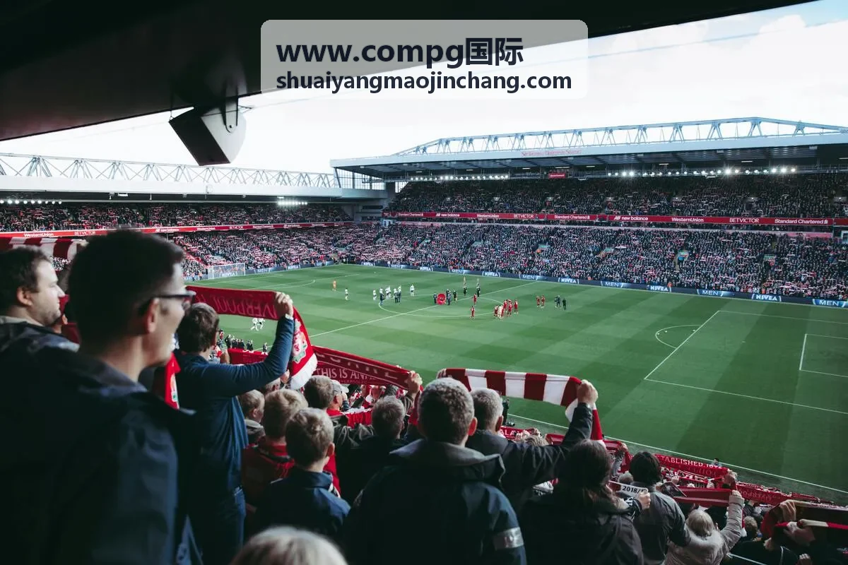 www.compg国际 海运整柜装柜作业
